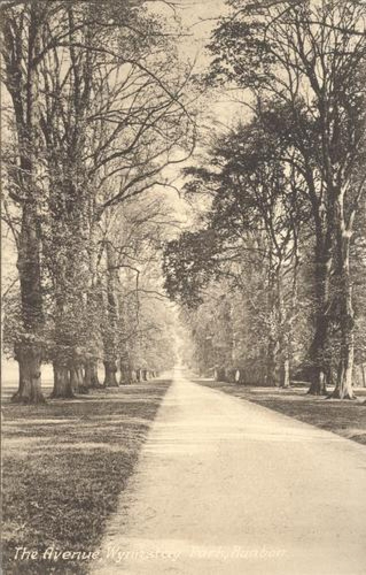 Pgds 20100415 181436 Wynnstay19