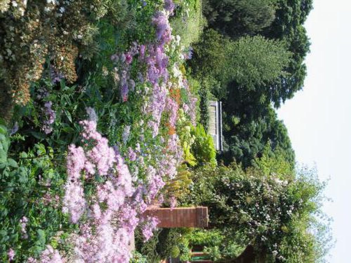 Pgds 20100510 192822 Walled Garden Flowers 002