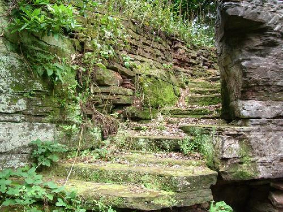 Pgds 20100815 161645 18 Steps Into The Dell2