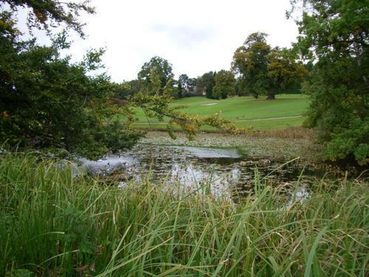 Pgds 20100815 163757 29 Fish Pond2