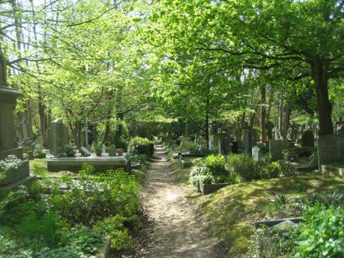 Pgds 20101003 194939 Img 3626