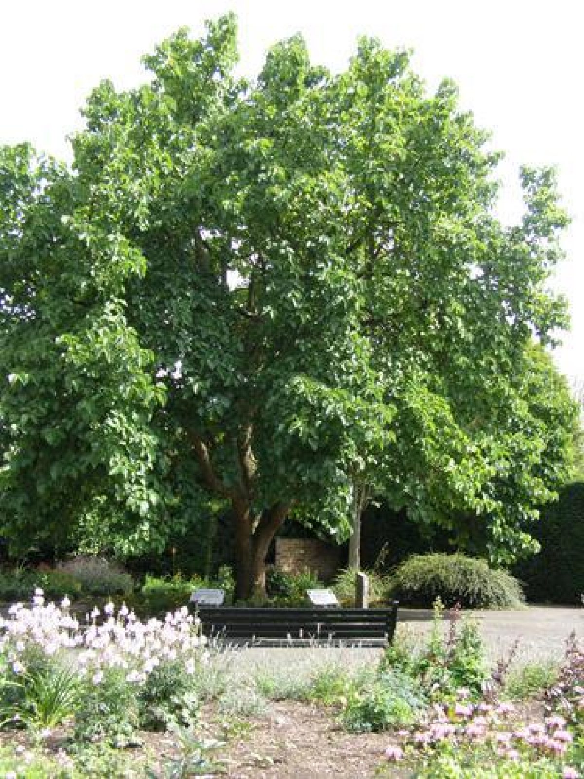 Pgds 20110211 161433 Picture 015B