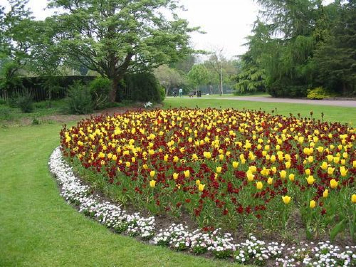 Pgds 20110211 162450 Img 6644