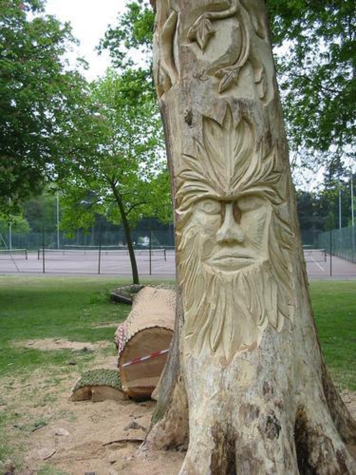 Pgds 20110211 162943 Img 6650