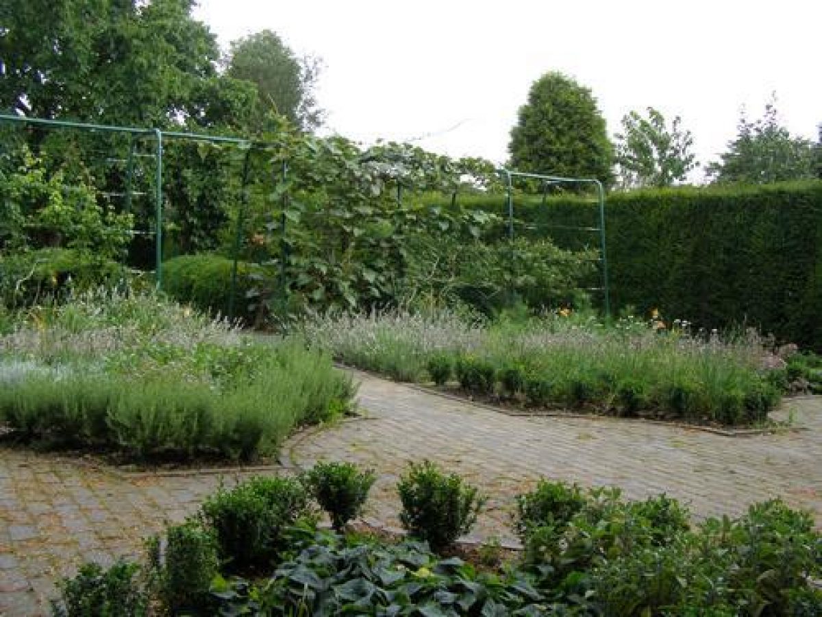 Pgds 20110211 163351 Picture 013B