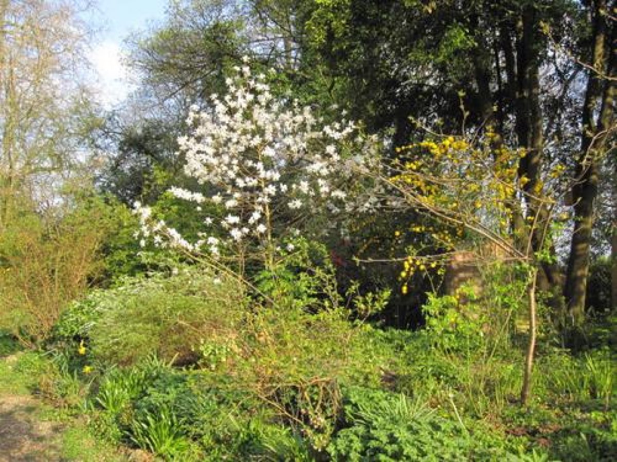 Pgds 20110814 113937 Spring Cornwallis Crescent West