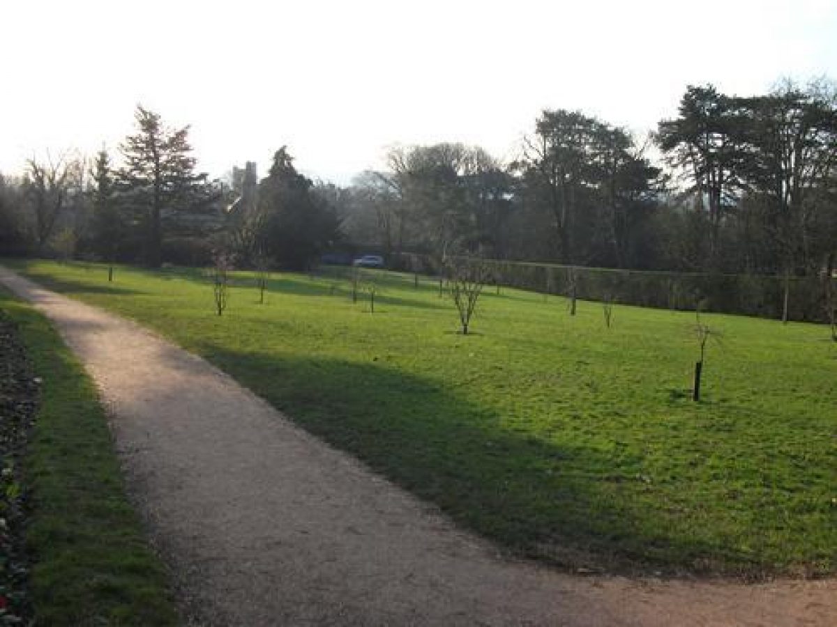 Pgds 20120207 191028 Acer Memorial Lawn