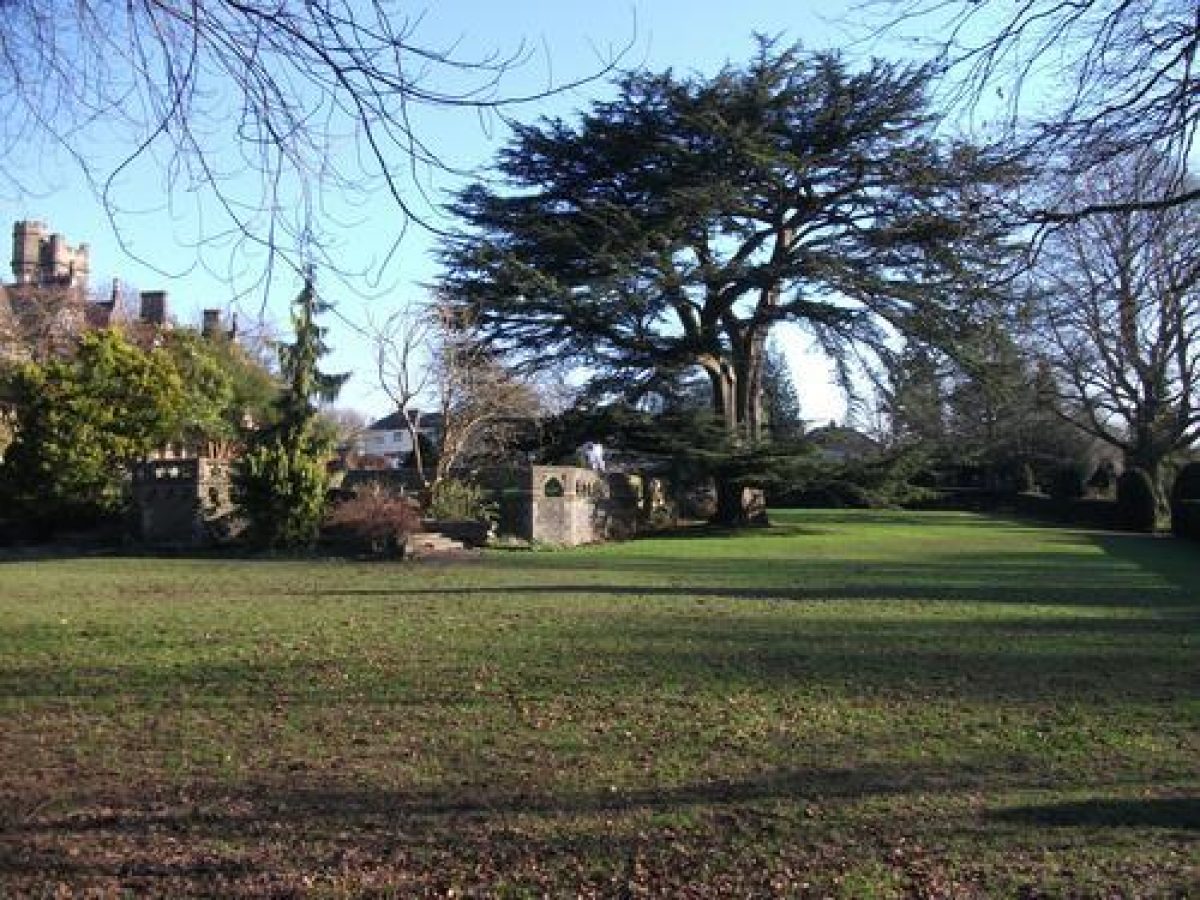 Pgds 20120207 191709 Cedar Of Lebanon