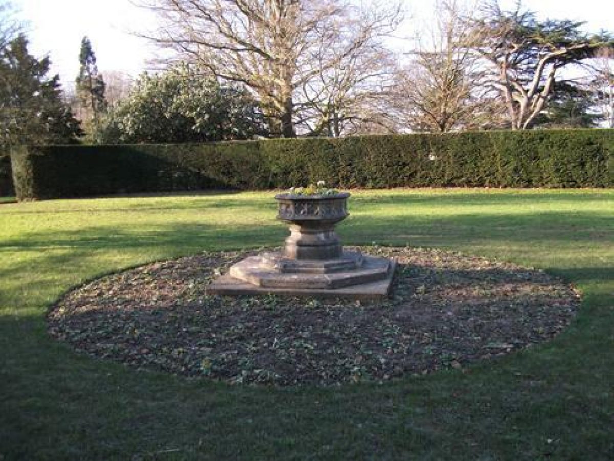 Pgds 20120208 191847 Planter Sw Lawn