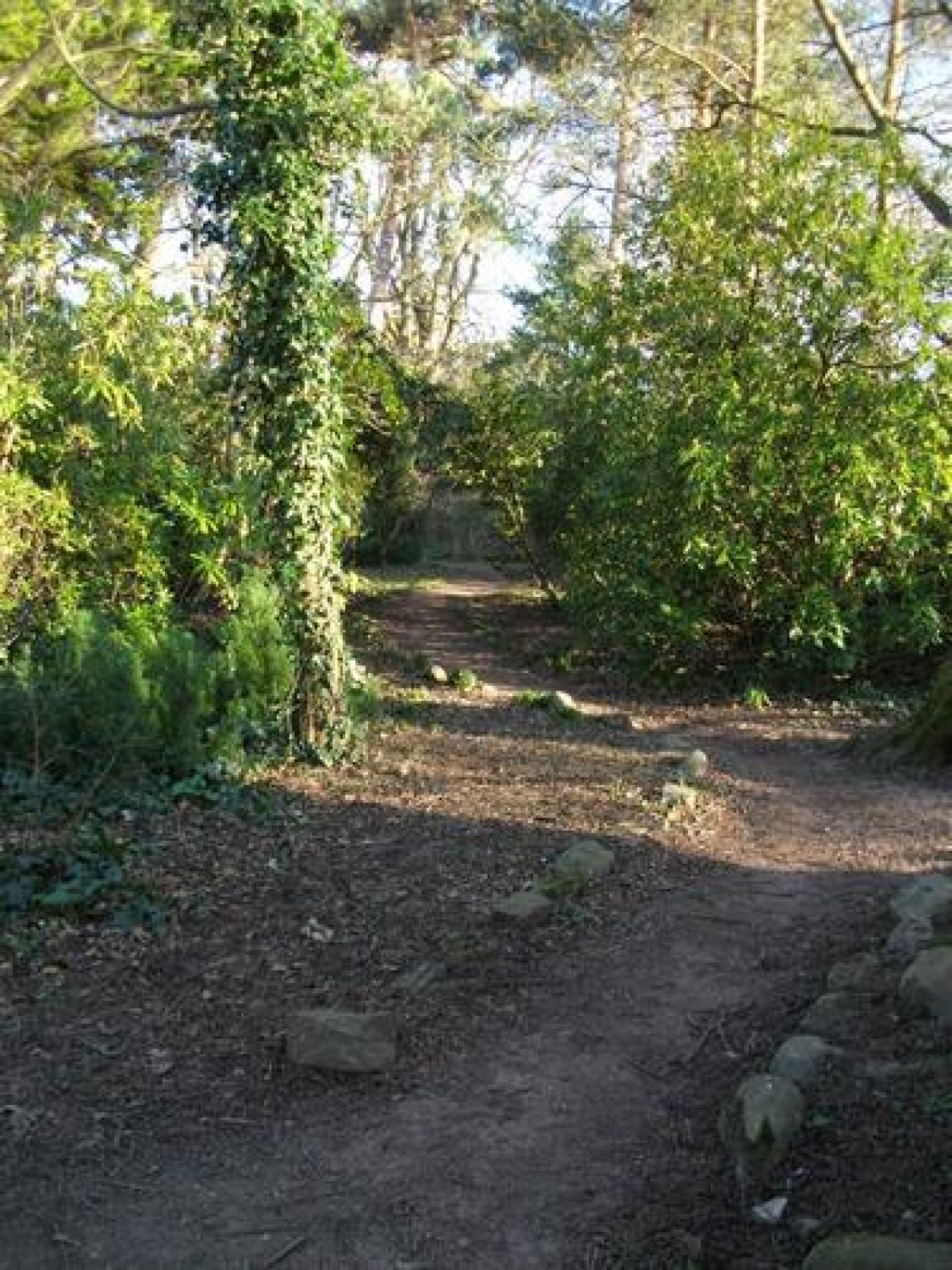 Pgds 20120208 192424 West Glade From Gazebo