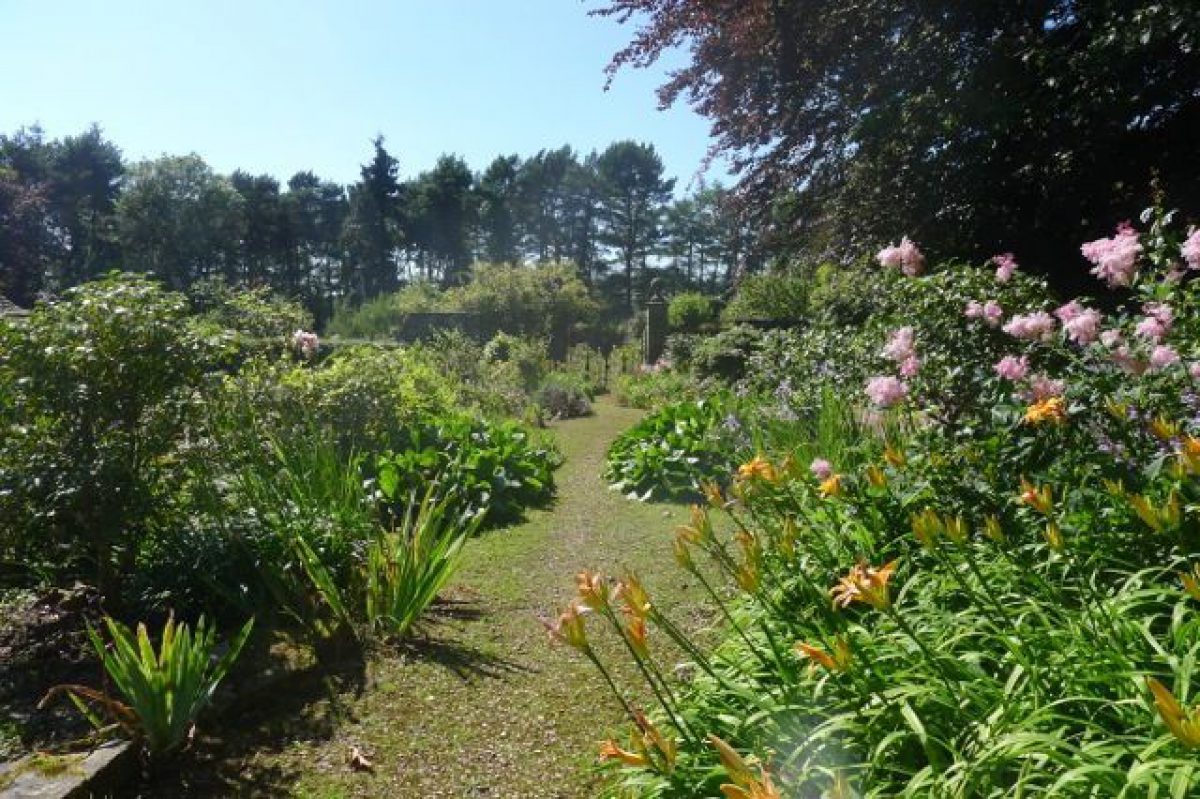 Pgds 20130412 192030 Wyndcliffe Court Lilies