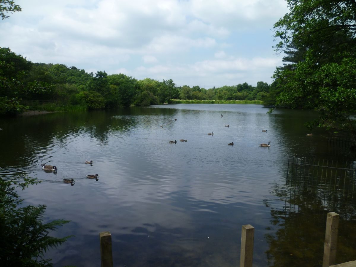 Pgds 20130718 193134 Lake