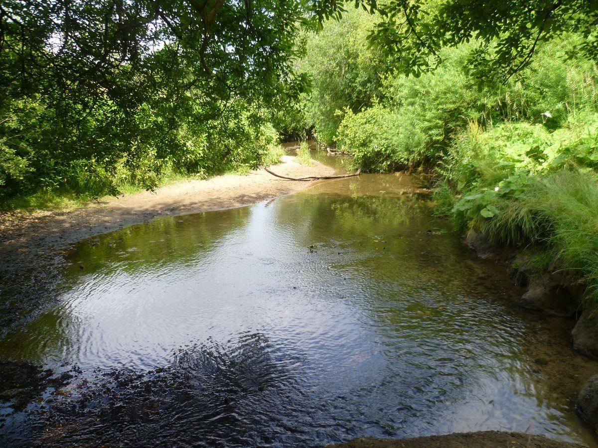 Pgds 20130718 193406 Cuerden Park River Lostock