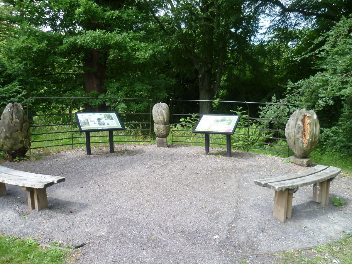 Pgds 20130718 195743 Pinetum Viewing Post