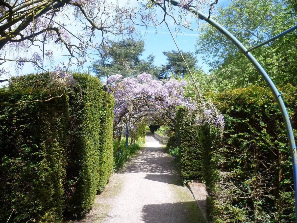 Pgds 20140516 144216 Photo2