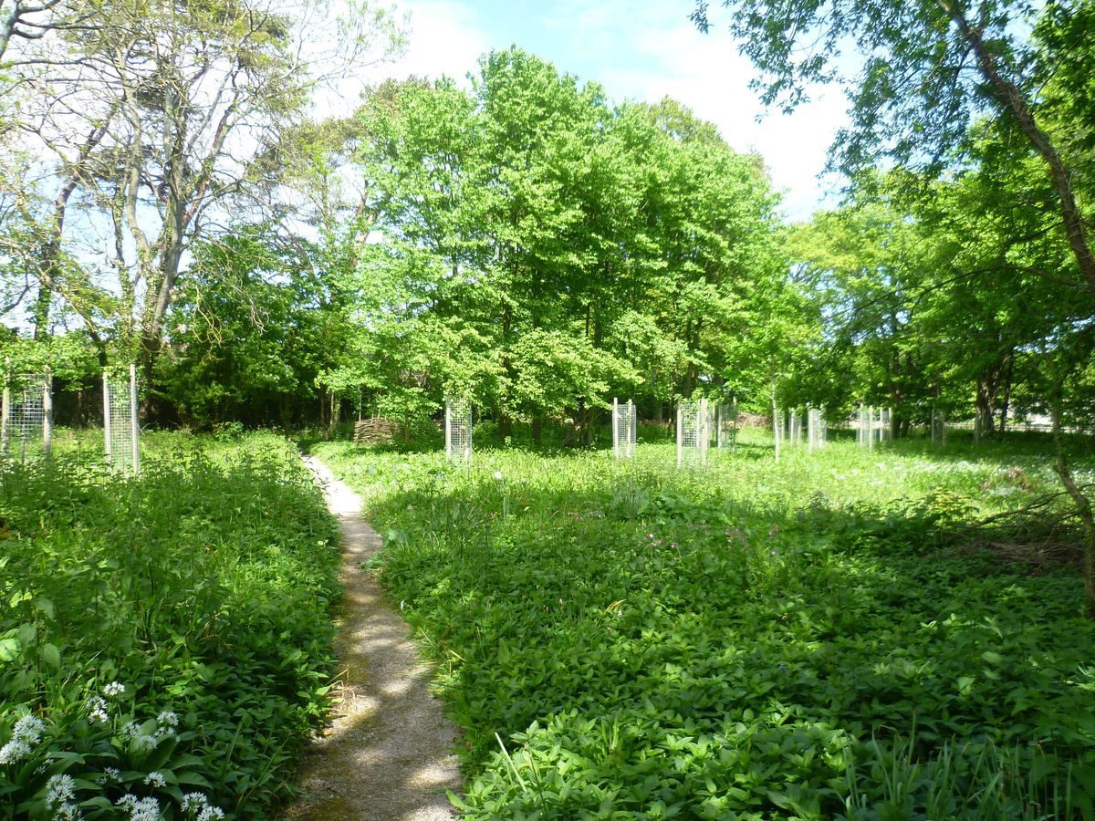 Pgds 20140516 144345 Photo4