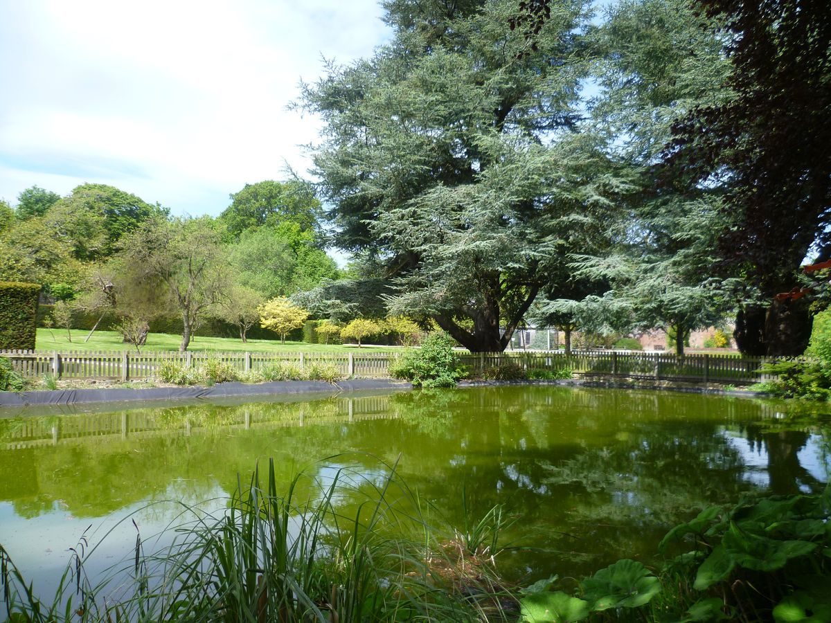 Pgds 20140516 145113 Photo9