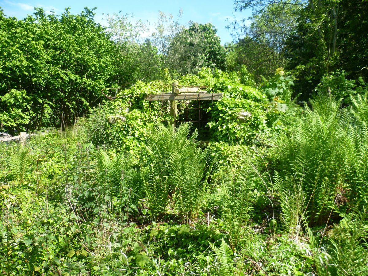 Pgds 20140516 145329 Photo 11