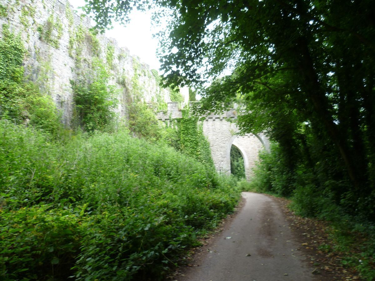 Pgds 20140708 134313 Driveway To Entrance