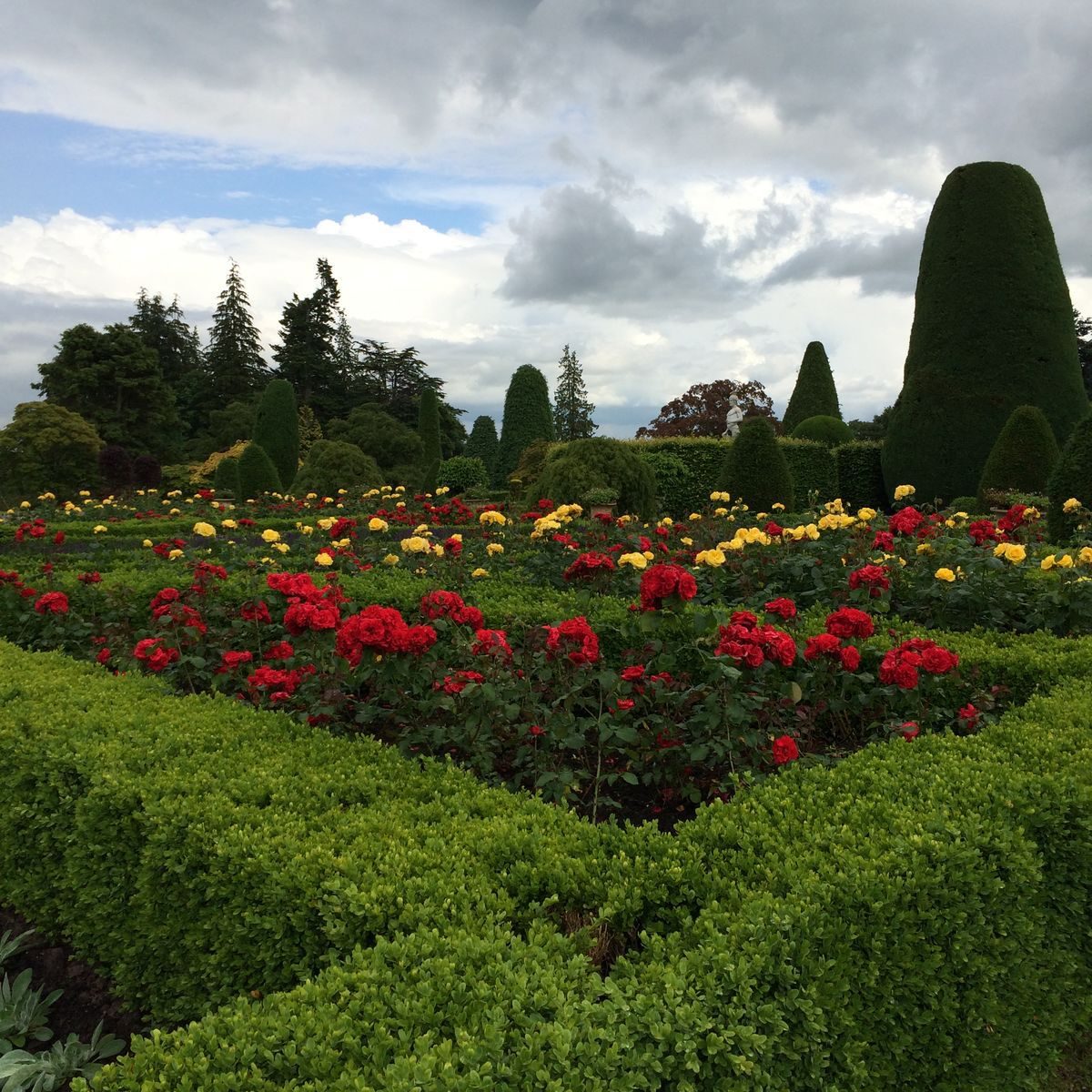 Pgds 20140802 160613 Lower Terrace Central Area Rose Beds