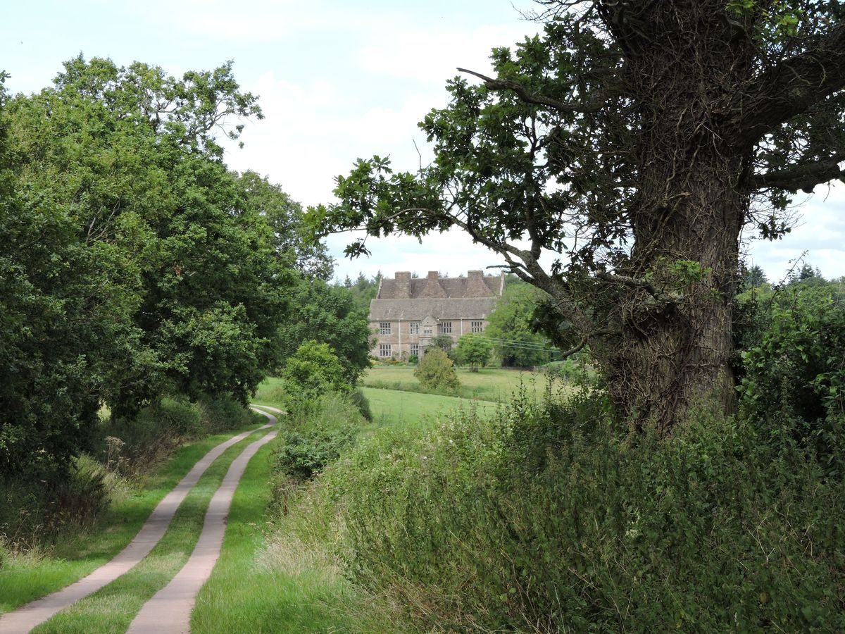 Pgds 20140822 194324 Treowen Driveway