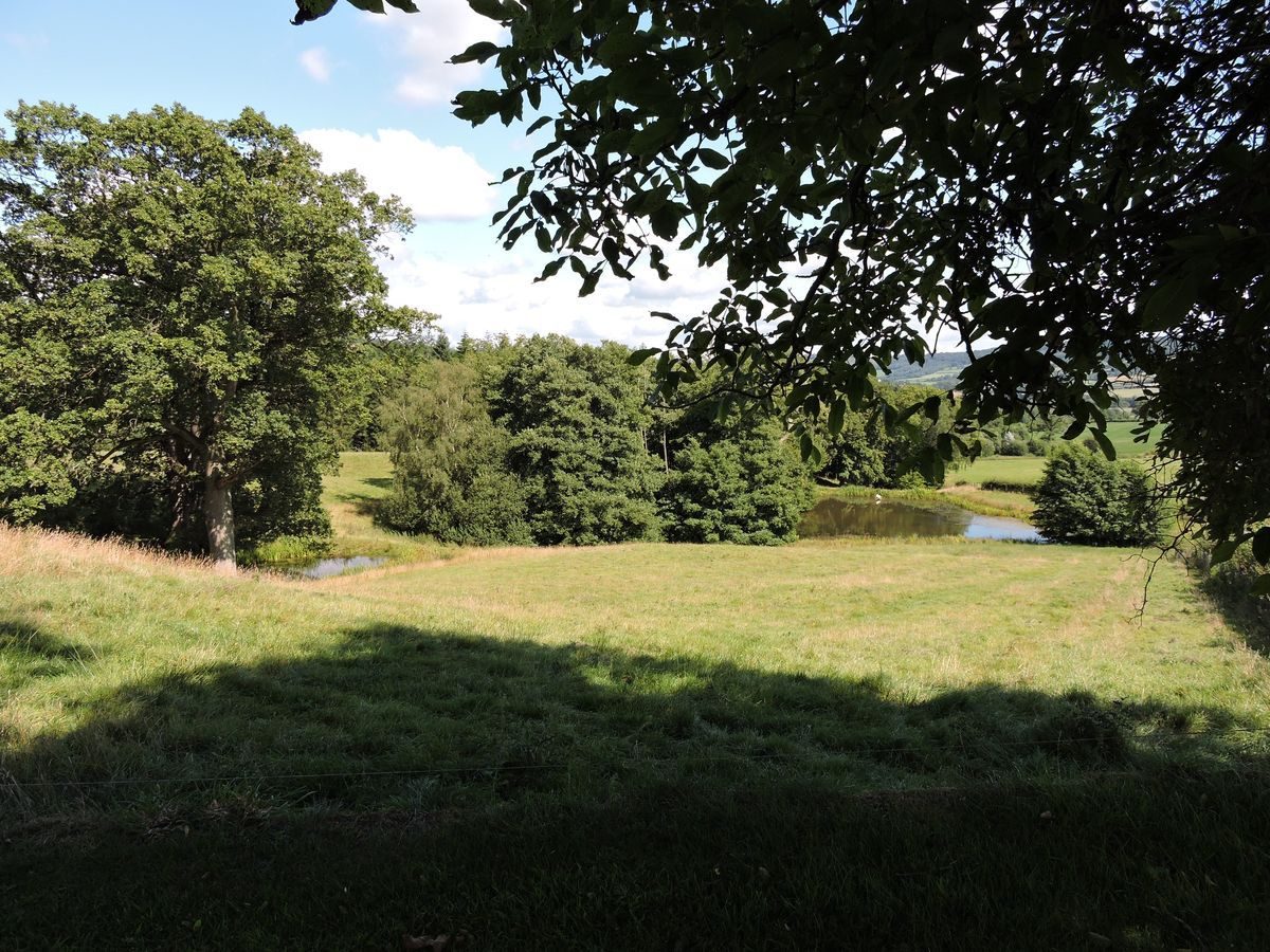 Pgds 20140822 194629 Treowen Fishponds