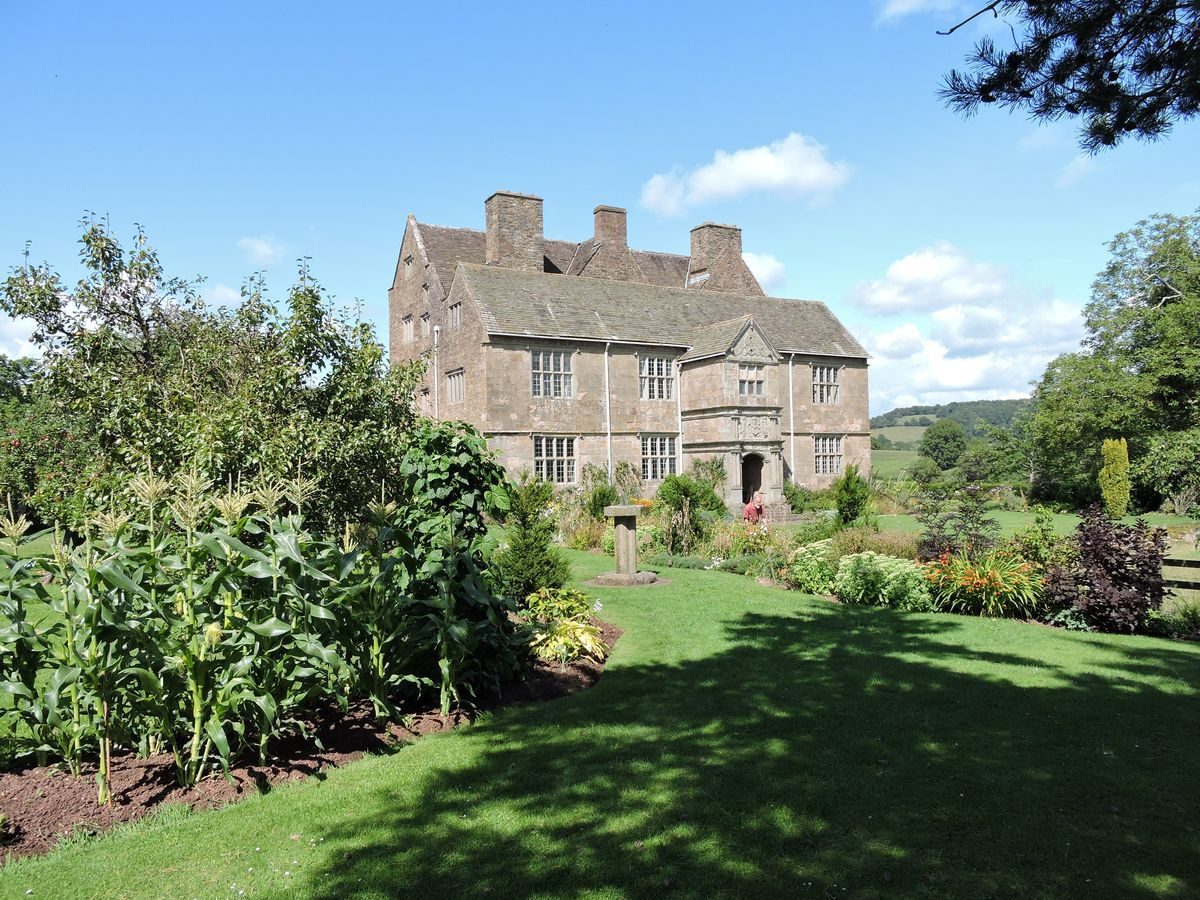 Pgds 20140822 194939 Treowen Front Garden Area