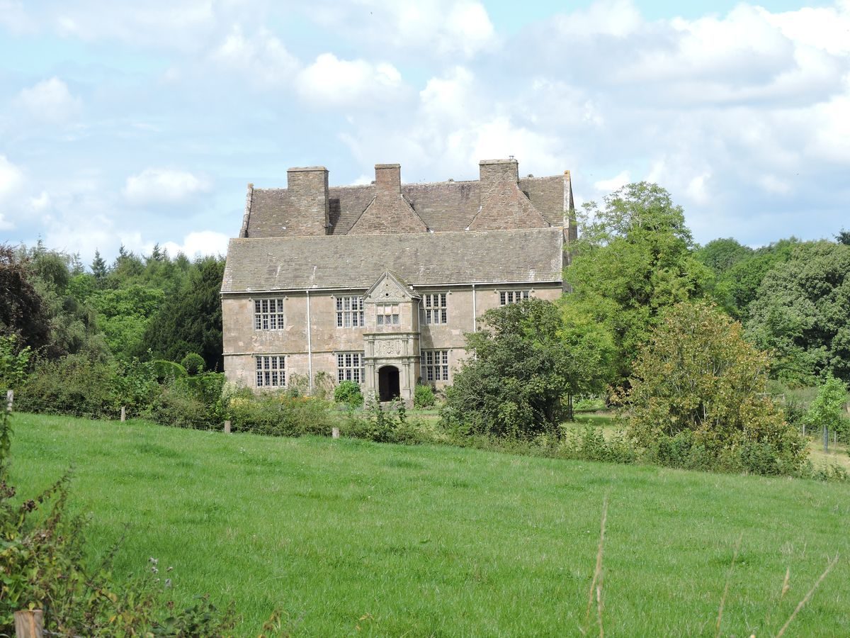 Pgds 20140822 201401 Treowen Viewed From A Distance