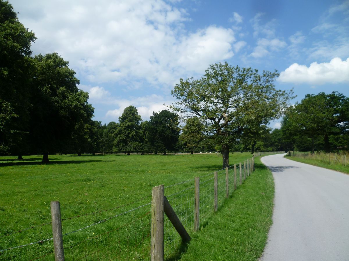 Pgds 20140903 134223 Photo1