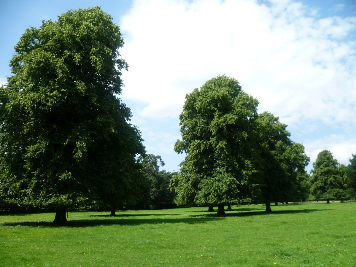 Pgds 20140903 134915 Photo2