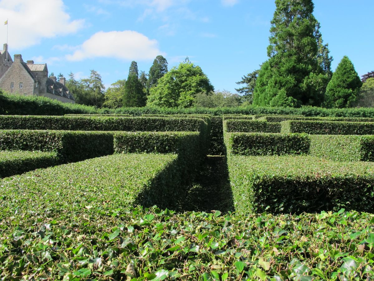 Pgds 20141010 144700 Cawdor Castle Holly Maze