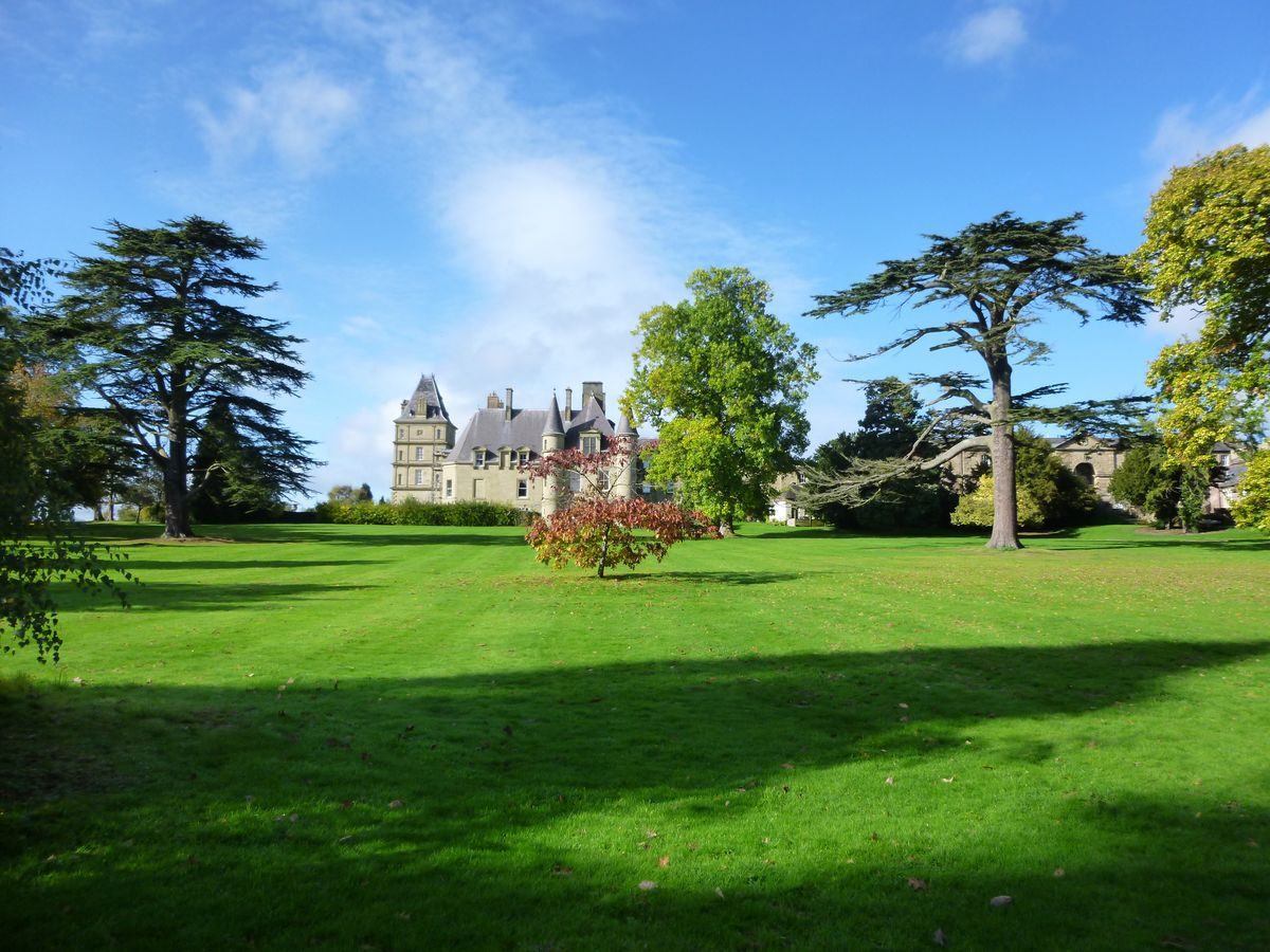 Pgds 20141017 141052 P1000066