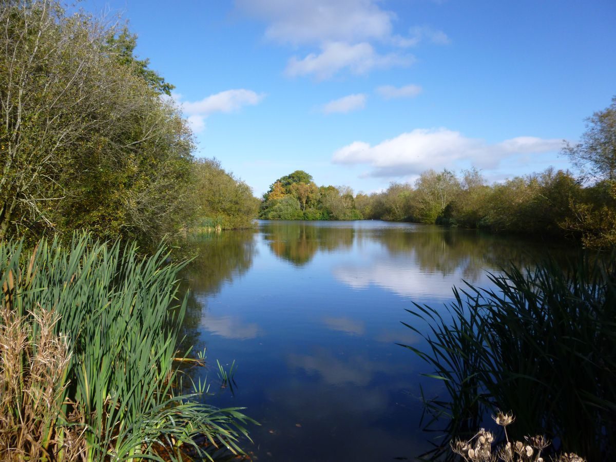 Pgds 20141017 143316 P1000072