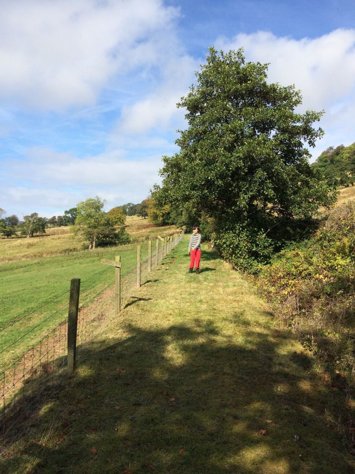 Pgds 20150126 143513 Kelburn Castle Countess Walk
