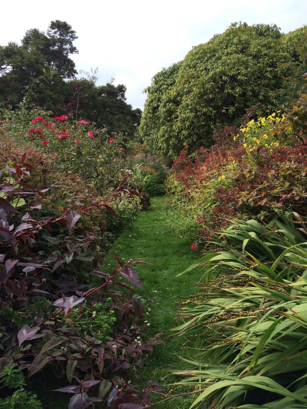 Pgds 20150126 143822 Kelburn Castle Herbaceous Beds
