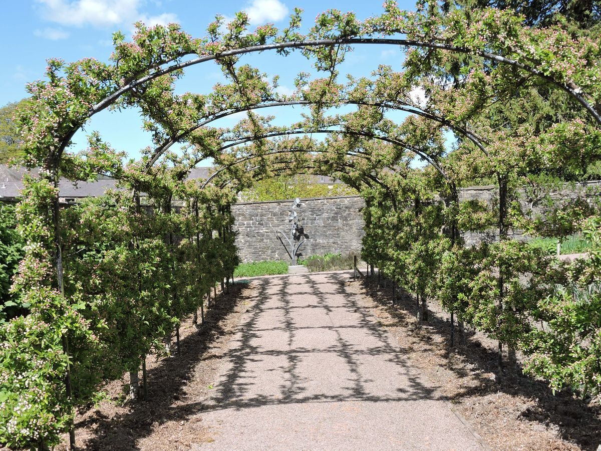 Pgds 20150428 143704 Lower Walled Garden