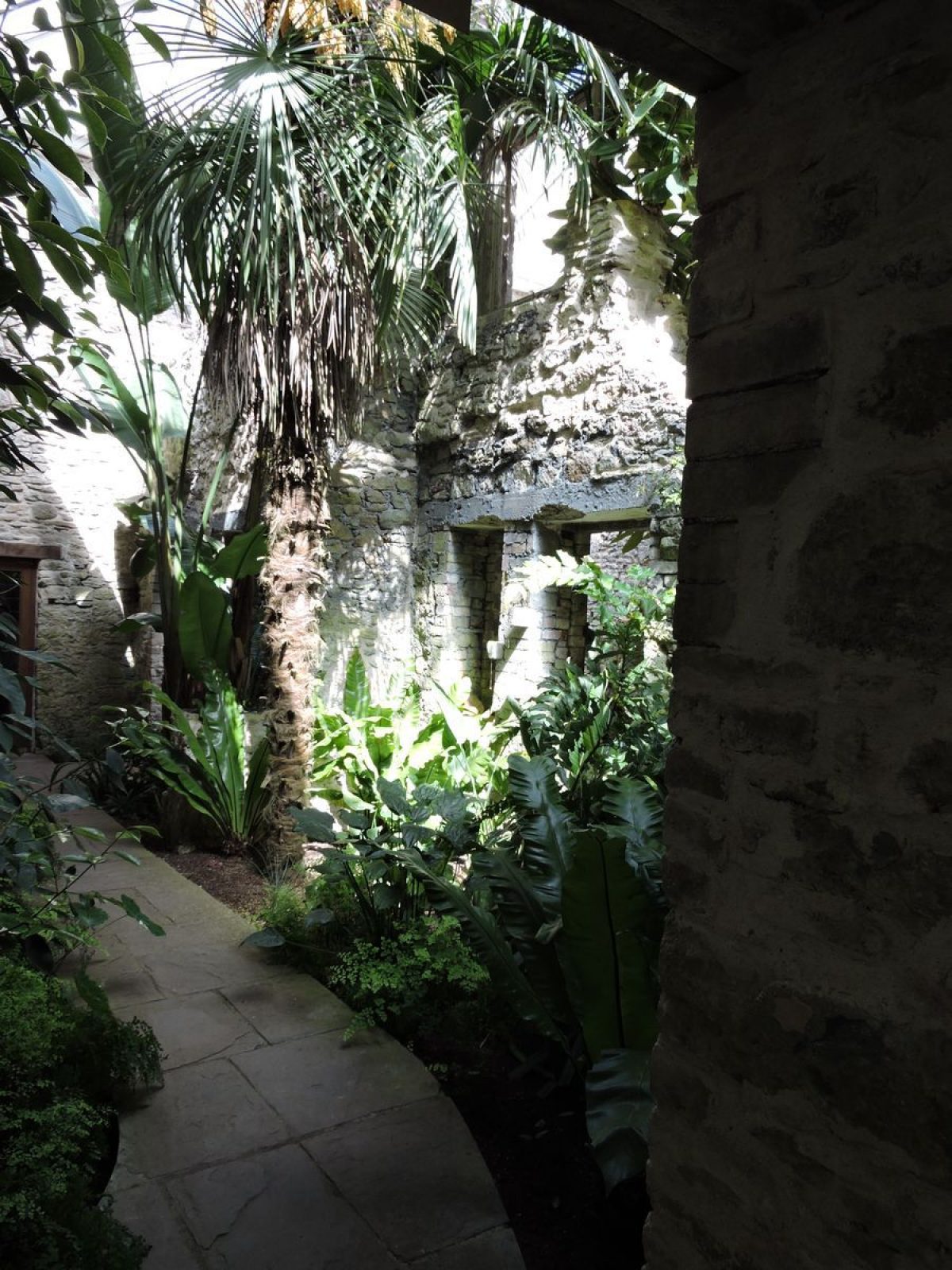 Pgds 20150428 144313 Ninfarium