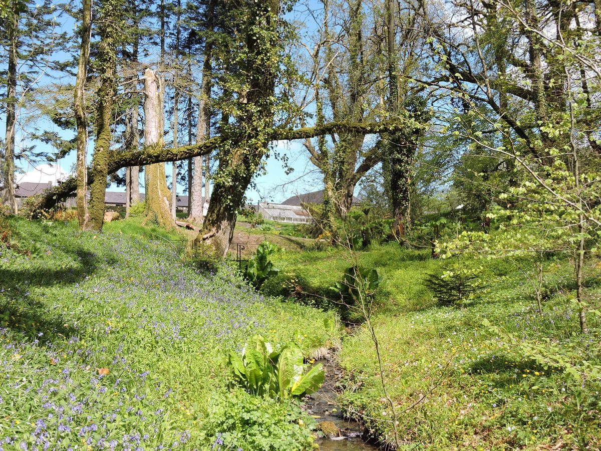 Pgds 20150428 151258 Stream Garden