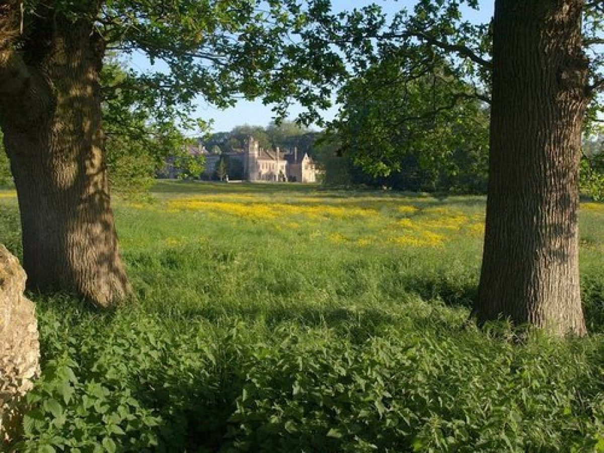 Pgds 20150521 065728 Lacock Park And Abbey   Geograph Org Uk   1337874