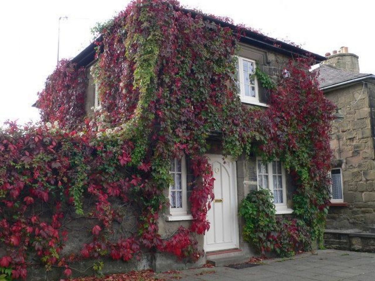 Pgds 20150610 064440 The Gate House Ruabon   Geograph Org Uk   567785