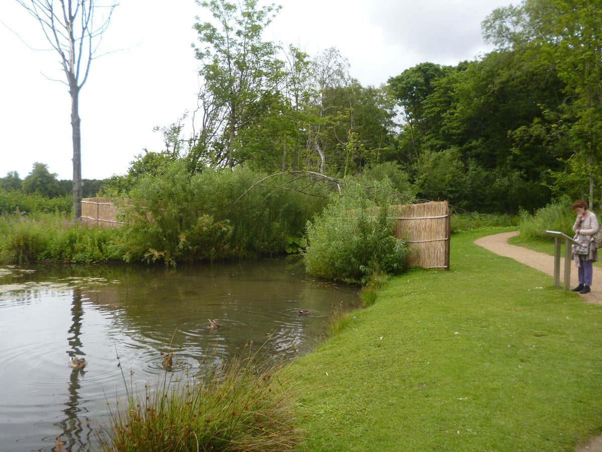 Pgds 20150817 150108 P1050415