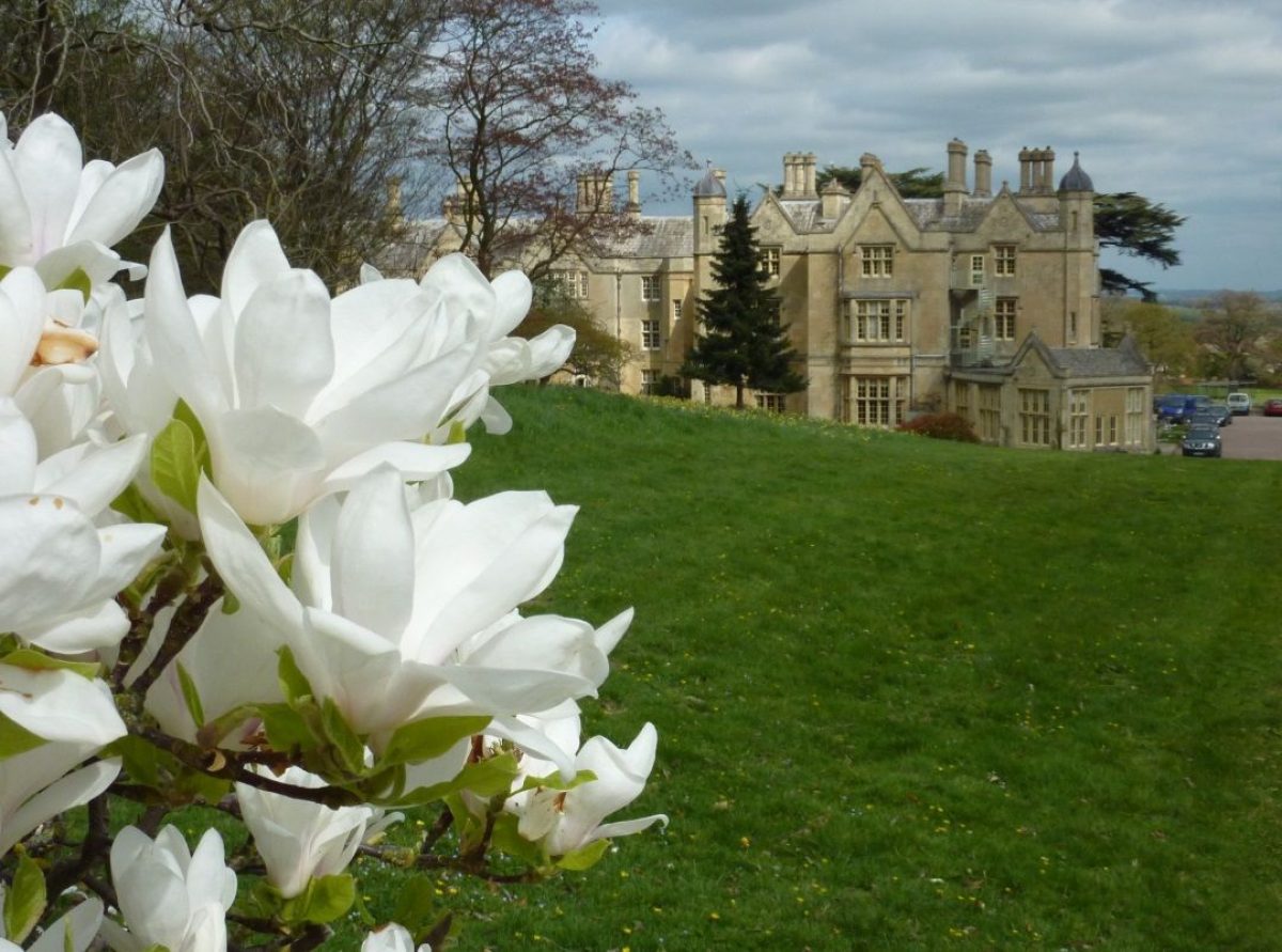 Pgds 20150823 145743 A Picture By Simon Keyy 10 Magnolias At Dumbleton Hall