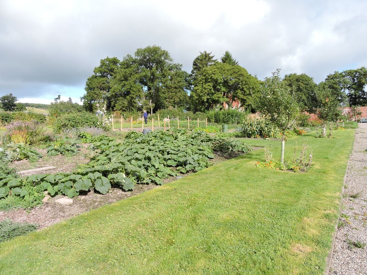 Pgds 20150922 124022 Kitchen Garden