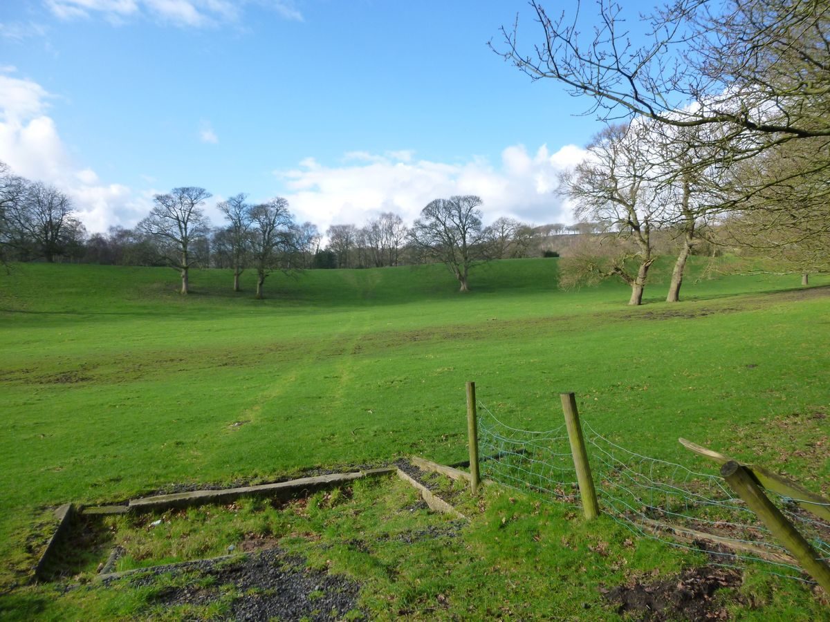 Pgds 20160213 121640 Estate Grounds Adjacent To House