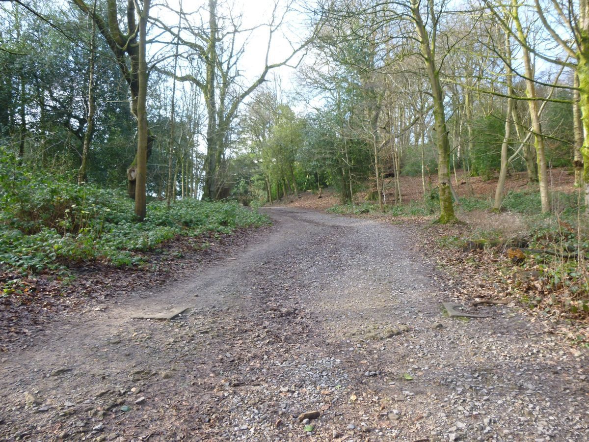 Pgds 20160213 123640 Second Driveway To The House Showing Bases For Onrmanetal Urns