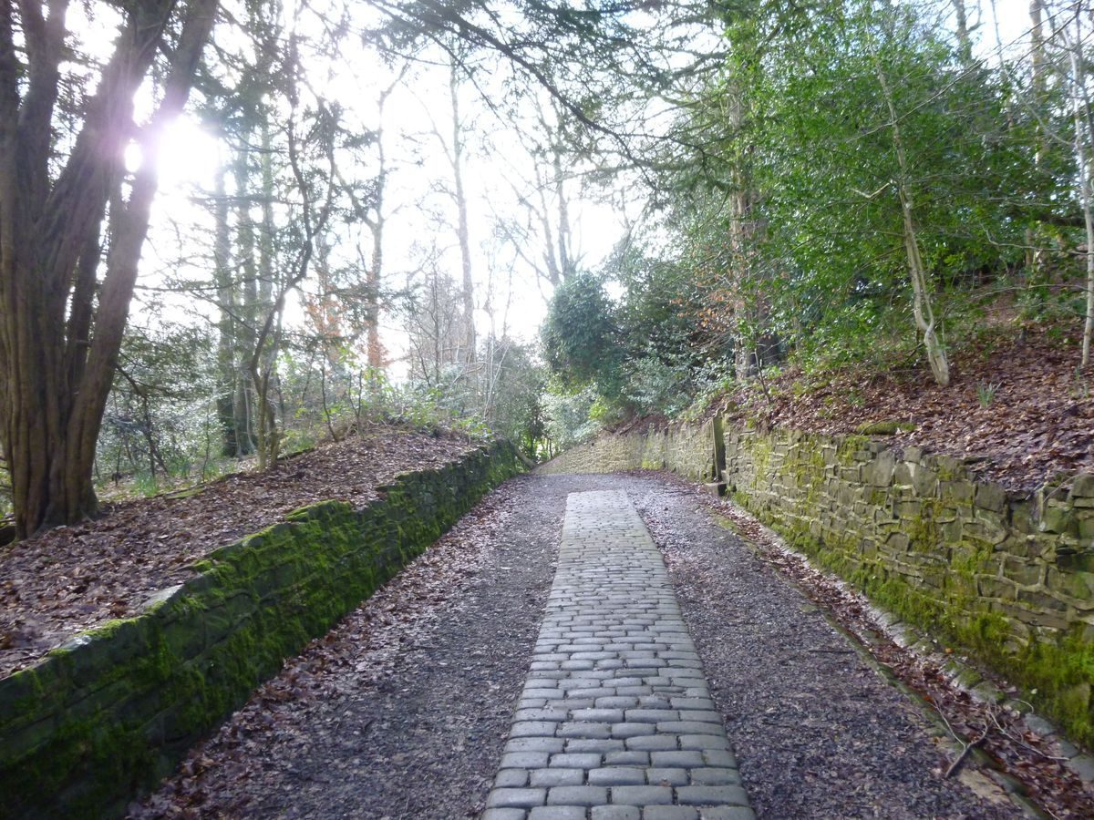 Pgds 20160213 124819 Service Road For Staff To The Rear Of The Hall