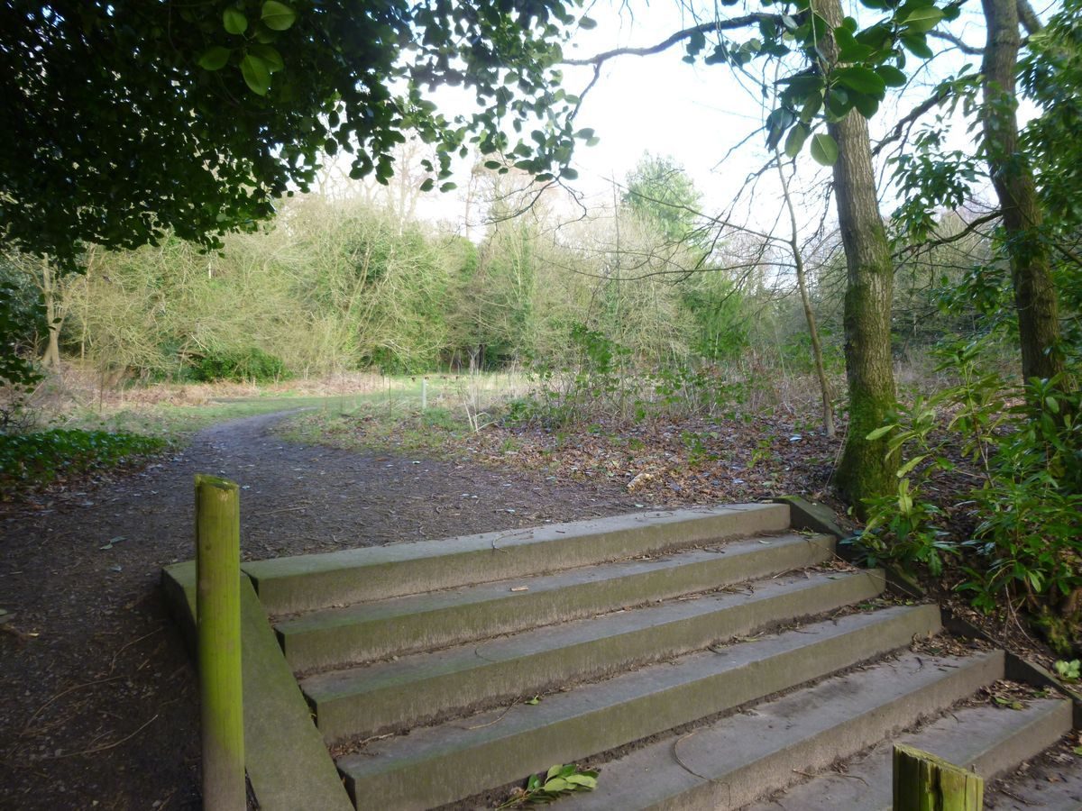 Pgds 20160213 130713 View Of The Site Of The House From The Terraces