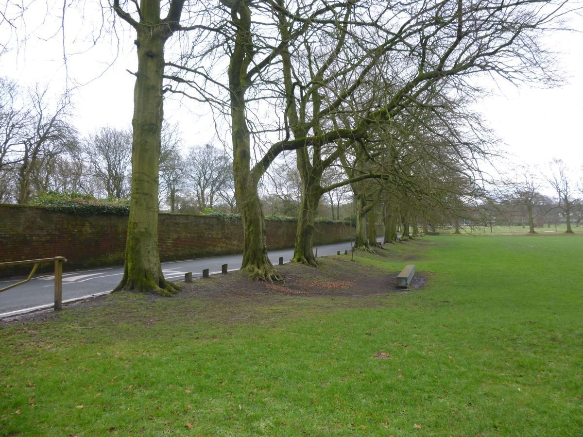 Pgds 20160219 150748 Main Drive With Walled Garden