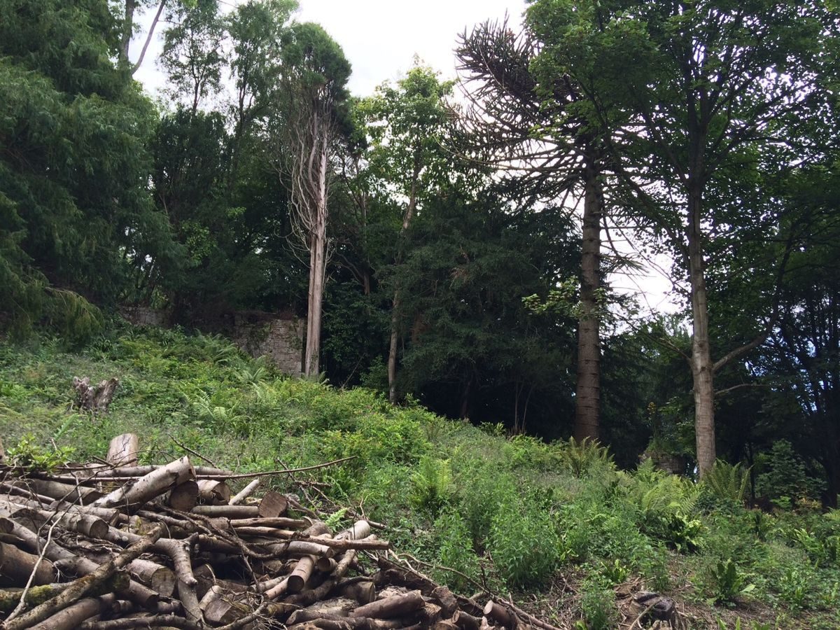 Pgds 20160816 224659 Img 3460