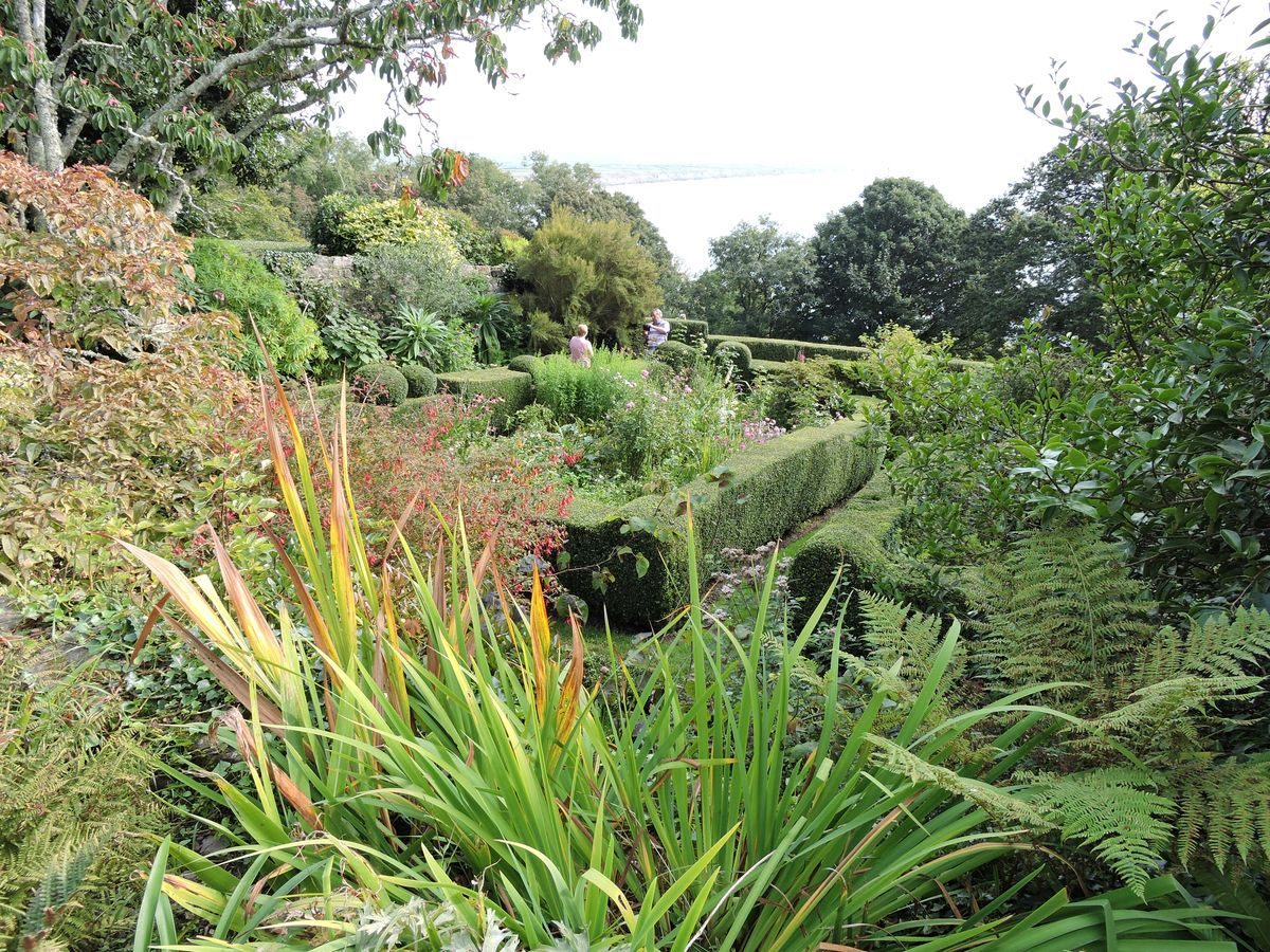 Pgds 20160927 151228 Box Hedge Garden 2